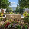 lush landscaping in a courtyard